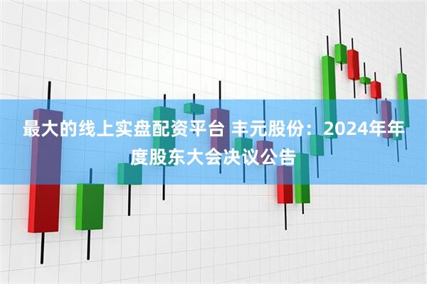 最大的线上实盘配资平台 丰元股份：2024年年度股东大会决议公告