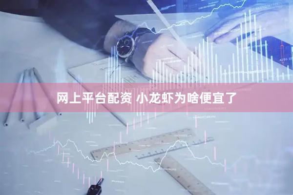 网上平台配资 小龙虾为啥便宜了