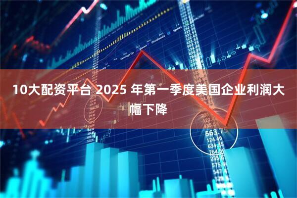 10大配资平台 2025 年第一季度美国企业利润大幅下降