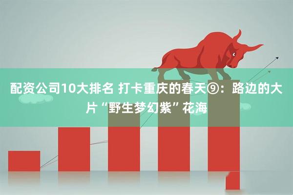 配资公司10大排名 打卡重庆的春天⑨：路边的大片“野生梦幻紫”花海